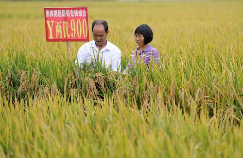 ںʡ¡ţδ塰900ӽʾλֲڲǰ鿴루924㣩