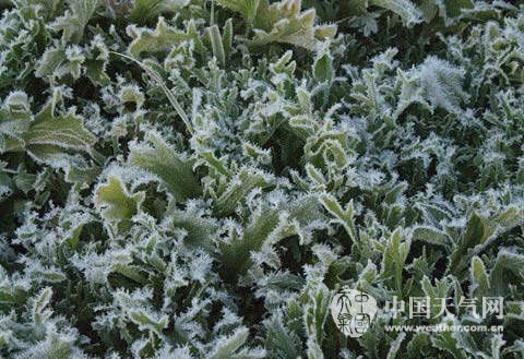 内蒙古9月3人因雷击死亡 未来三天再迎雨雪