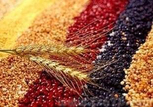 ȫҪũƷ۸߸ߣոӳǿ