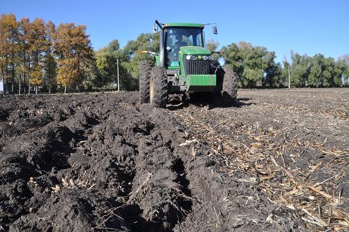 104գλںʡеĺũũ׵ؿ飬һ̨ڽҵʱڣũա󣬼֡һ顢ջһ顢һ顱ԭ򣬻ջɵĵؿͳһأΪ괺λ