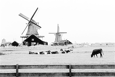 ���조��������������ȫ��ҵ��