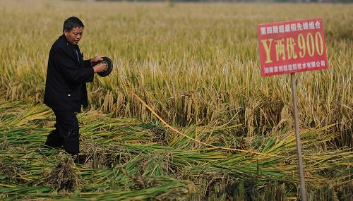 1010գԱںʡغǴĳӽY900