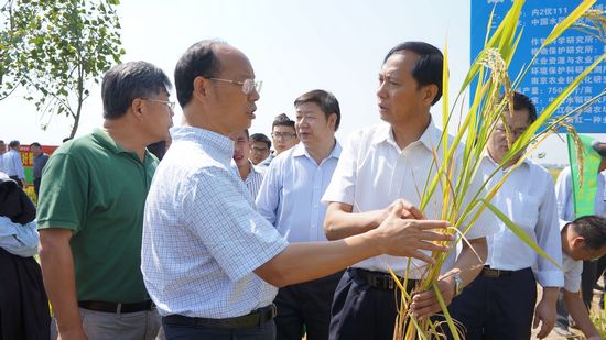 йũԺˮЧۺϼģʽоЧϲ