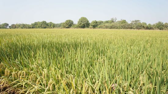 йũԺˮЧۺϼģʽоЧϲ