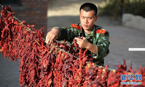 10月14日,万新涛在苏泊淖尔的基地晾晒红辣椒。