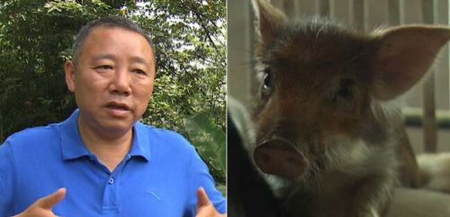 ¸ҰĵĵطҰ ׬600Ԫ