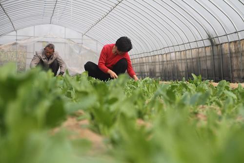 1023գɽвӼߴũڹ߲ˡ