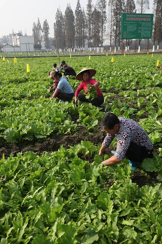 1023գüɽжũڹ߲ˡ