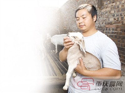 马圉在羊圈里检查小山羊的健康情况。