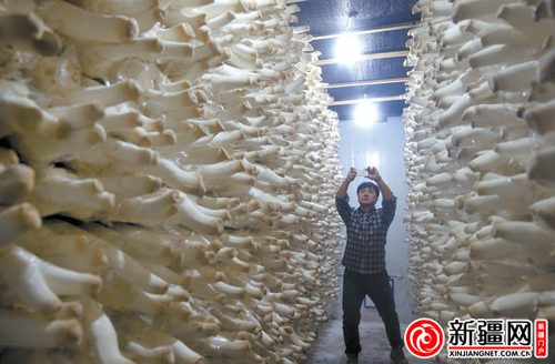 ͼΪ1022գ½ũҵƼ԰½Ƽ޹˾ڣȤضԲþݼʳþա