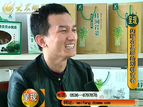 将青春种进土地 大学生村官芹菜地里谱写人生2