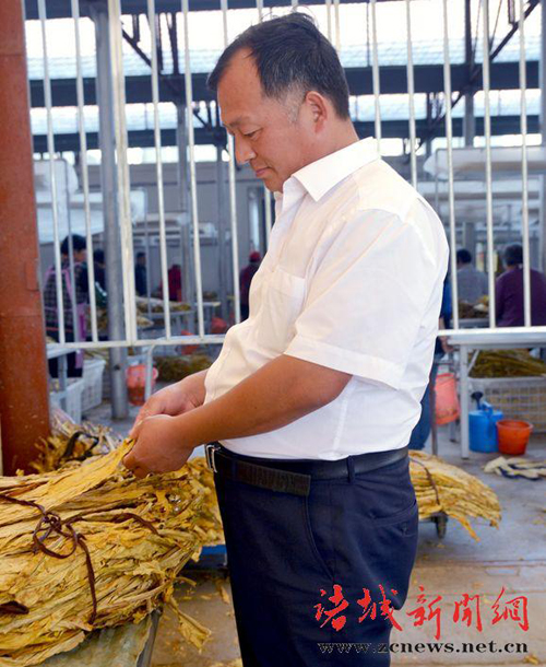 山东石桥子镇:王木亮的家庭农场梦