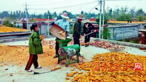 10�³����������������������ׯ��ũ���ڴ����ס�