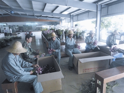 ڼȴʾأӯ˾ԱժȡʯĻꡣ