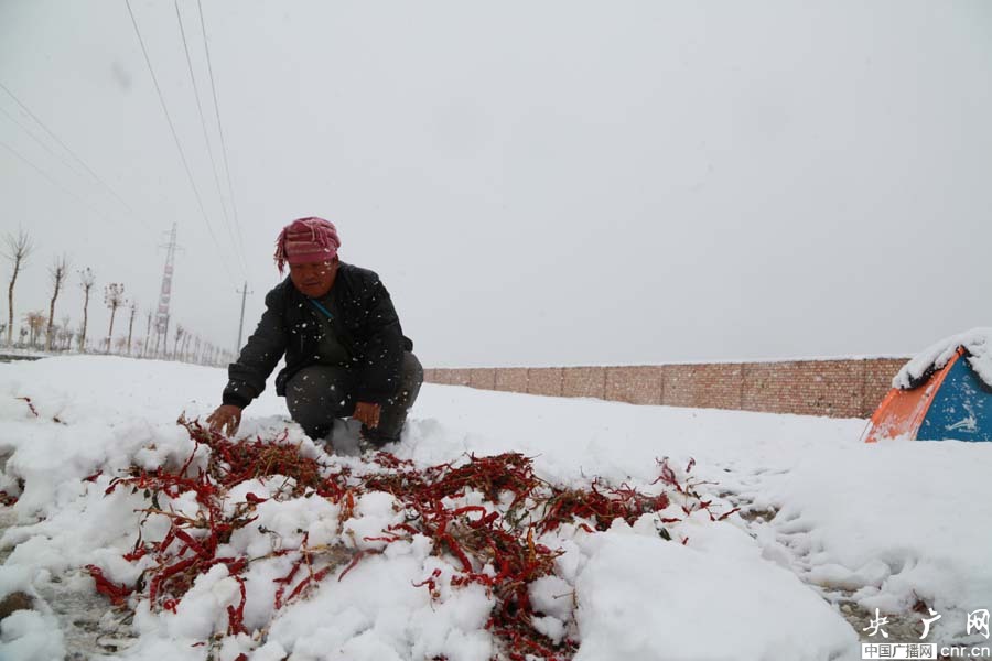 �½���˶��������ѩϮ�� ũҵ�����ܵ�Ӱ��2