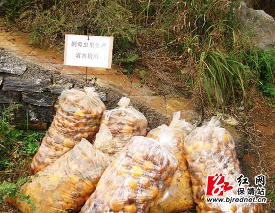 ũҵ֡򡱿չ̽۴ʵӬ