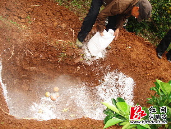 ũҵ֡򡱿չ̽۴ʵӬ