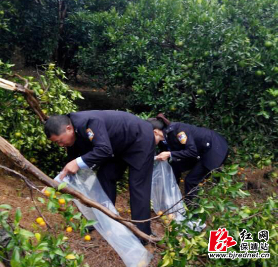 ũҵ֡򡱿չ̽۴ʵӬ