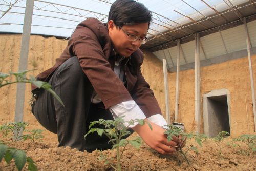 朱海龙走进一个蔬菜大棚,每周都来看上几次,俨然成了“蔬菜专家”。 摘掉村庄“三无”帽子 带村民奔上良性循环致富路