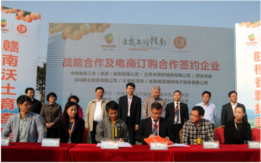 “舌尖上的赣南”品鉴会美食家蔡澜大赞脐橙2