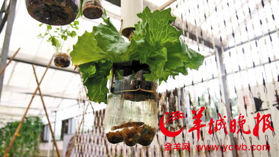 2014ɽũҵչʾչʾڶũƷ¼