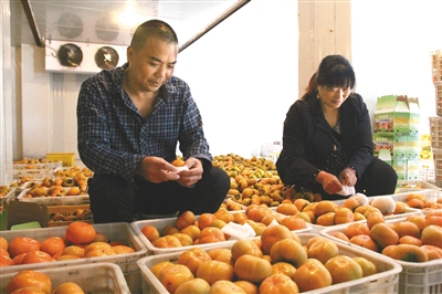 重庆武隆:甜柿“睡”冻库 效益增三成