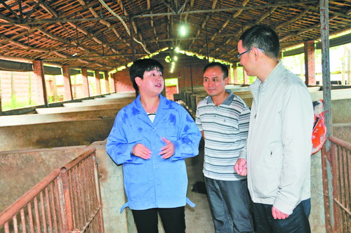 孙小晴向就业局干部介绍香猪养殖情况