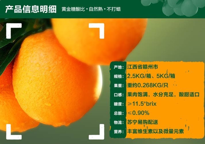 赣南脐橙借力电商销售 果农网上卖橙进入繁忙期2