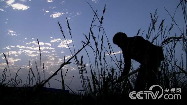 江苏镇江:被一个老实人逼出来的财富《致富经》