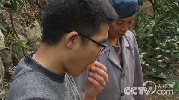 㽭ʡӿȪ򣺰ְǮ Ӱ׬¸