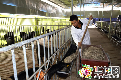 Сѧҵ統ũ ũҵ԰Ҫ¸