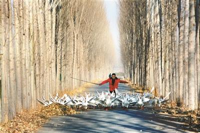 ũѧԺҽѧרҵѧлƺҵʱ䴴ҵ𡰶ϰ塱