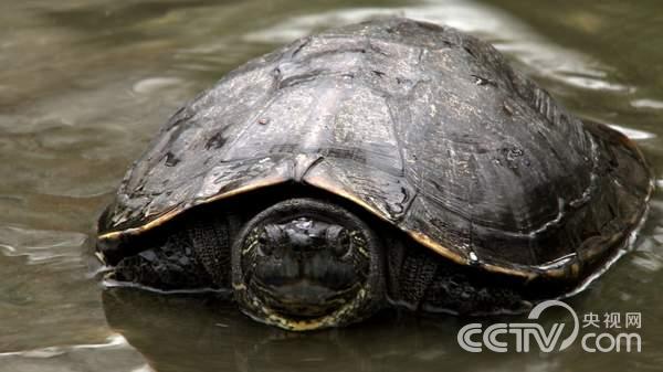 㶫ۣꡱı˵¸ڹˡ¸2