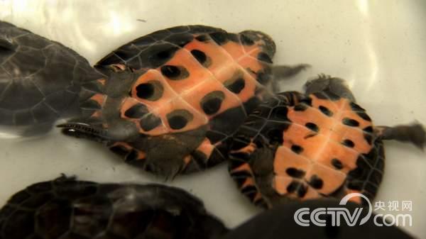 㶫ۣꡱı˵¸ڹˡ¸3