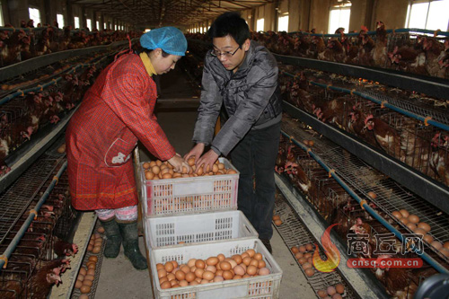 115գ߸ׯѧŻ۷æżʰ