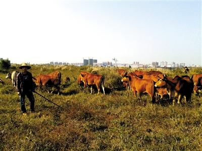 ձŲñڷţܸжĿǰְҵ