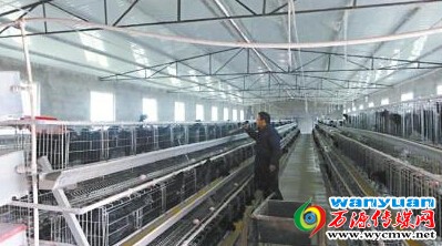 ��Դ�д�ѧ���������ڼ� ����800�໧�����¸�