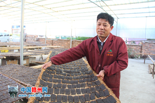 江西安远:致富“黄金片”