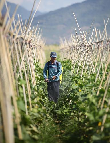 24գʡƺɽһũڲ˵ҩɱ档