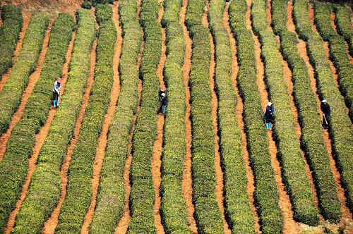 24գʡϽ¯ɽ賡Ĺڲ԰