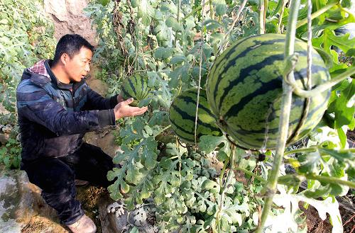 24գ½дȪ񾮴ũҵũڲժ