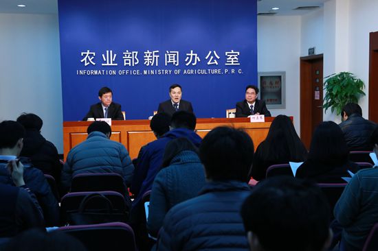 ִũҵͷ ʳִũҵʾЧ