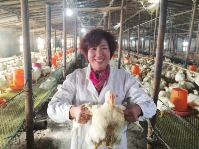 Ìì½ò±¦ÛæÇø£ºÖÖÑø´øÍ·ÈËÕÅÐãϼ