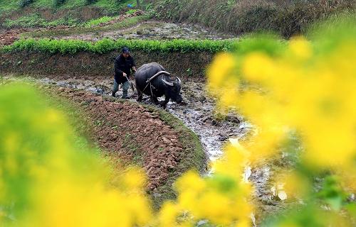 225գĴʡŴũڷũ