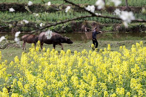 225գдɽǣŸţ䡣ڹϷͲ˻½Ʈ㣬ǡ