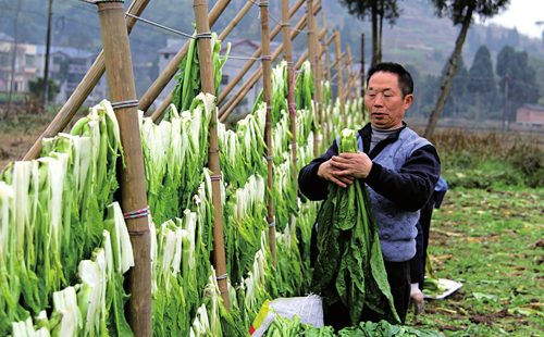 �����˴��ˡ���͢�������������ܷ����������