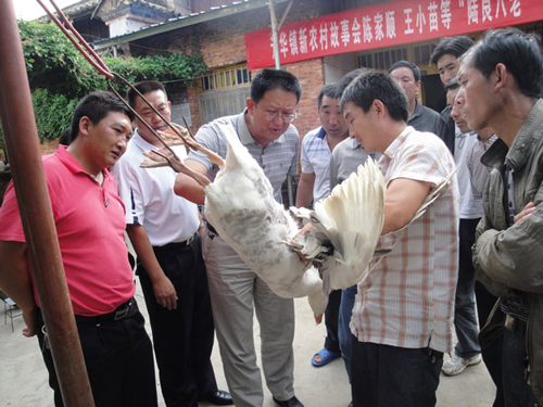 周文:扎根农村闯天地 致富愿当领路人2