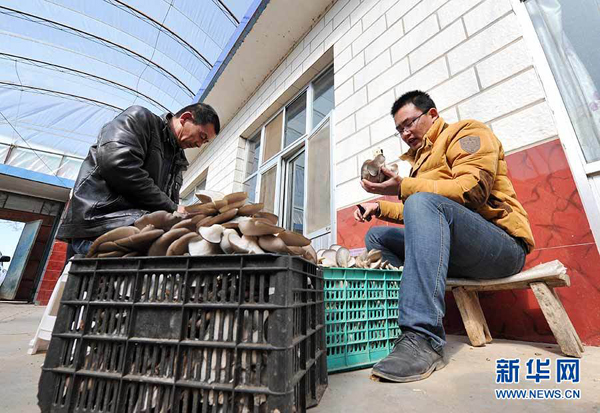 33գ̲ͨĢ԰ں͸һ޼ժƽ׼