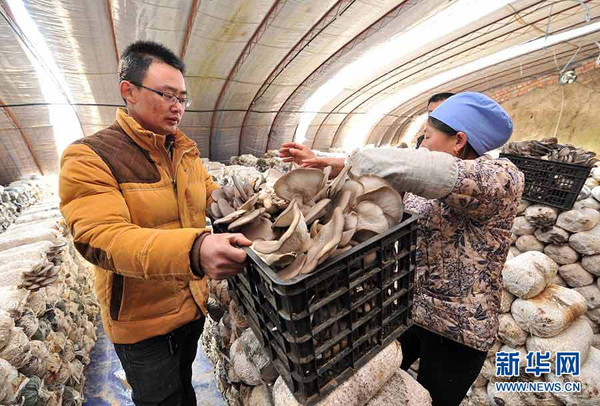 33գ̲ͨĢ԰ղժƽװ䡣