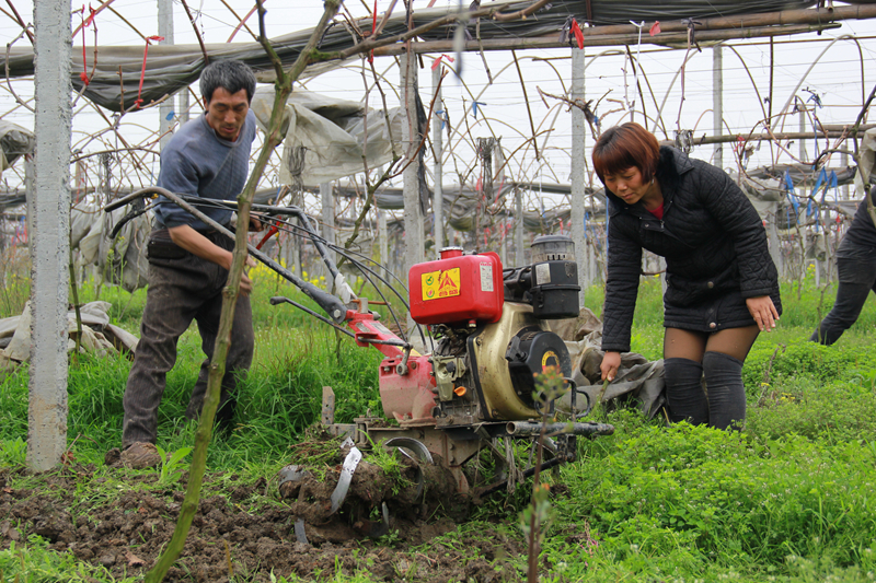 滕明容:创业致富女能人2